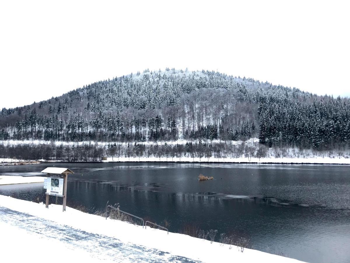 Appartement Familie Willems Winterberg 3 ภายนอก รูปภาพ