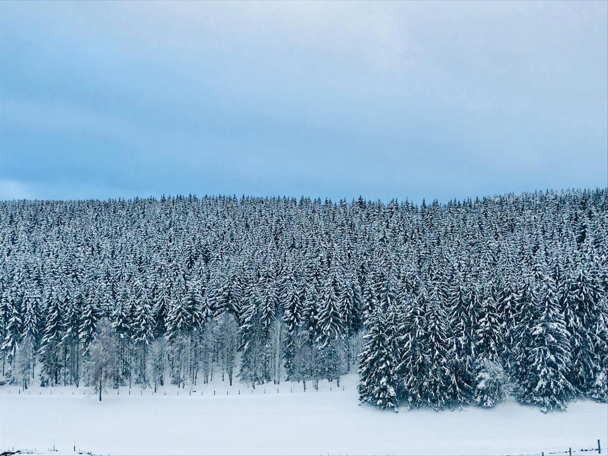 Appartement Familie Willems Winterberg 3 ภายนอก รูปภาพ